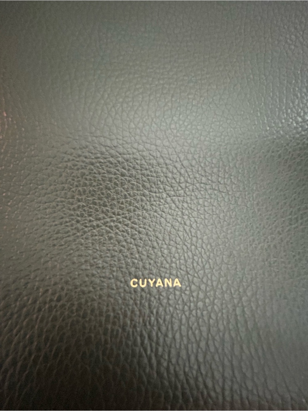 Cuyana Classic Easy Zipper Tote in Dark Olive - Picture 4 of 15